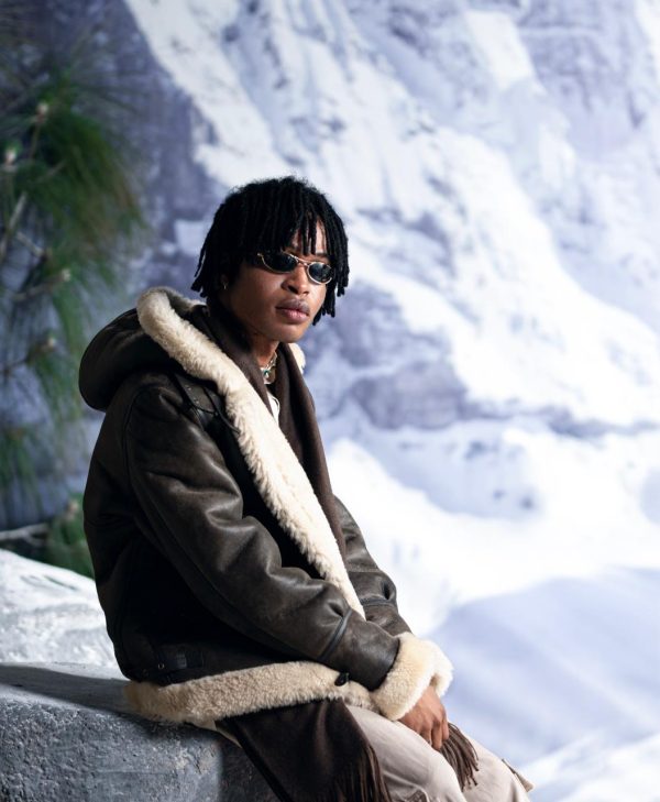 Brown Hood - Image 6