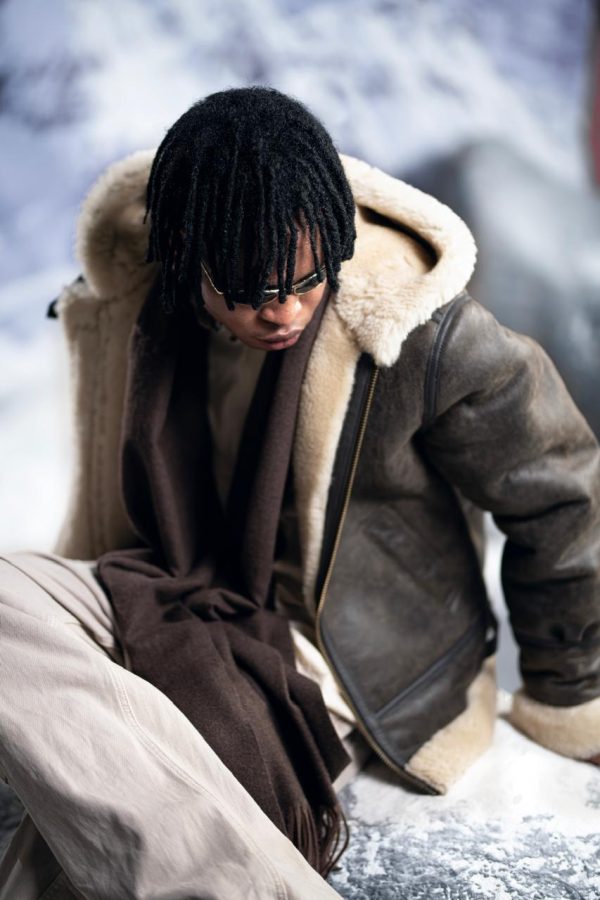 Brown Hood - Image 4